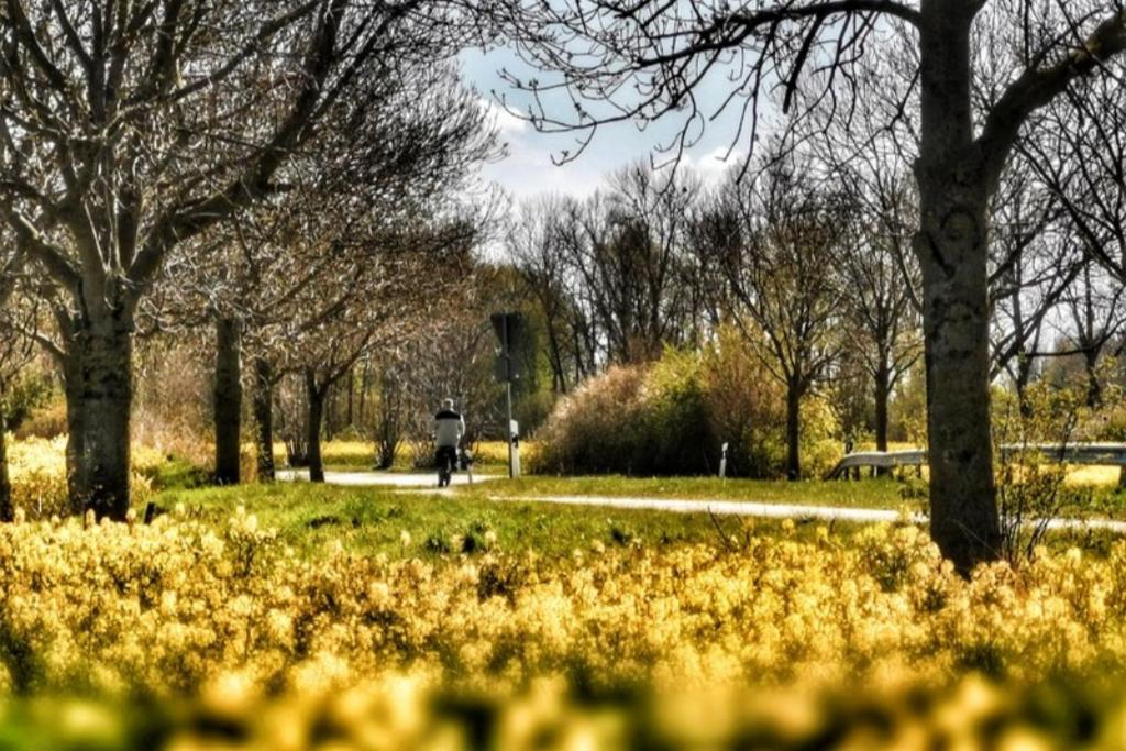 Apartmentvermittlung Mehr Als Meer - Objekt 11 Timmendorfer Strand Esterno foto